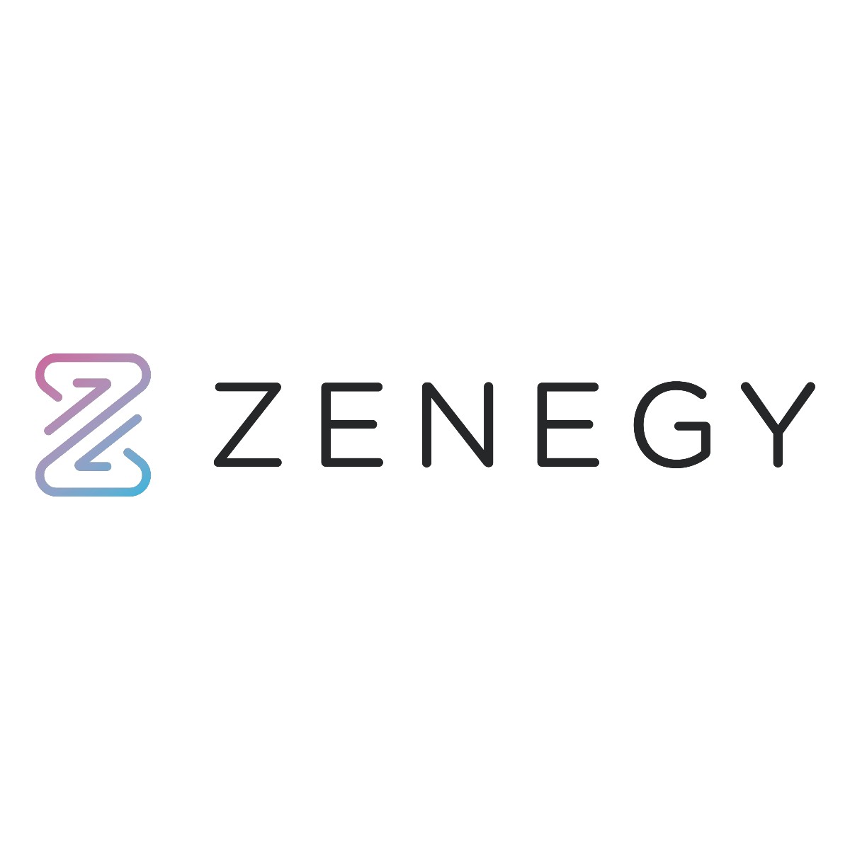 Zenegy Expense
