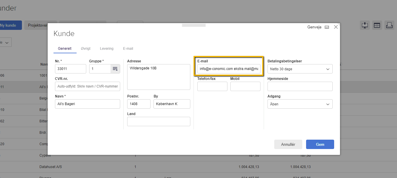Viser e-mail-feltet i kundens opsætning – bruges til at tilføje flere modtager-e-mails til en kunde.