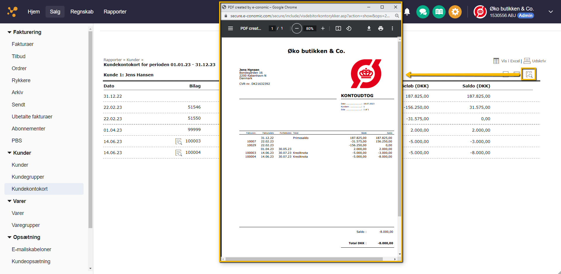 Viser ikonet 'Vis kontoudtog' i kundekontokortet – bruges til at vise kontoudtoget som en PDF-fil i et nyt vindue