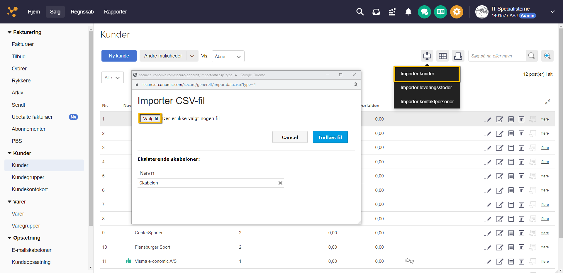Viser import-dialogboksen for kunder i kundekartoteket – bruges til at indlæse en CSV-fil med kundedata
