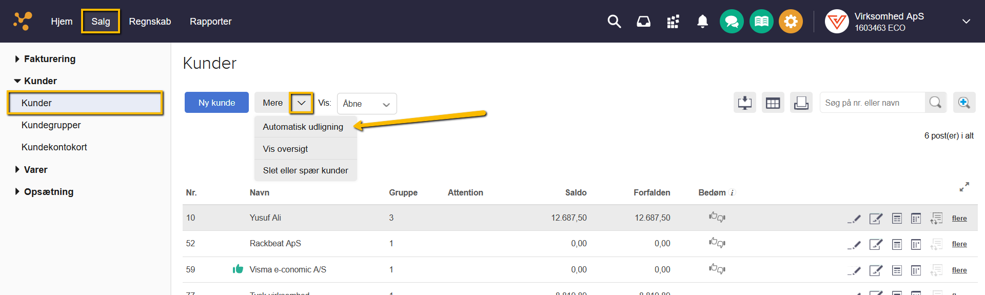 Viser menupunktet 'Automatisk udligning' i kundelisten under fanen Salg – bruges til at starte en automatisk udligning.