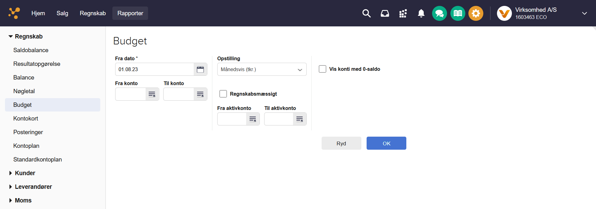 Viser søgefelter i Budget-rapporten – bruges til at generere en rapport med udvalgte data.