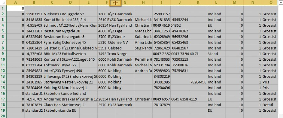 Viser justering af kolonnebredde i en CSV-fil – bruges til at tilpasse kolonnerne til tekstens længde for et bedre overblik.