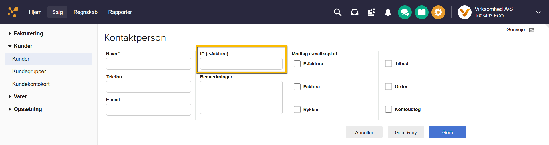 Viser feltet 'ID (e-faktura)' i kontaktpersonopsætning – bruges til at tilføje et ID til en kontaktperson til brug ved e-fakturering.
