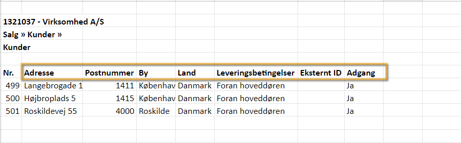 Viser kolonneopsætningen i en fil til dataimport – bruges til at forberede import af leveringssteder.