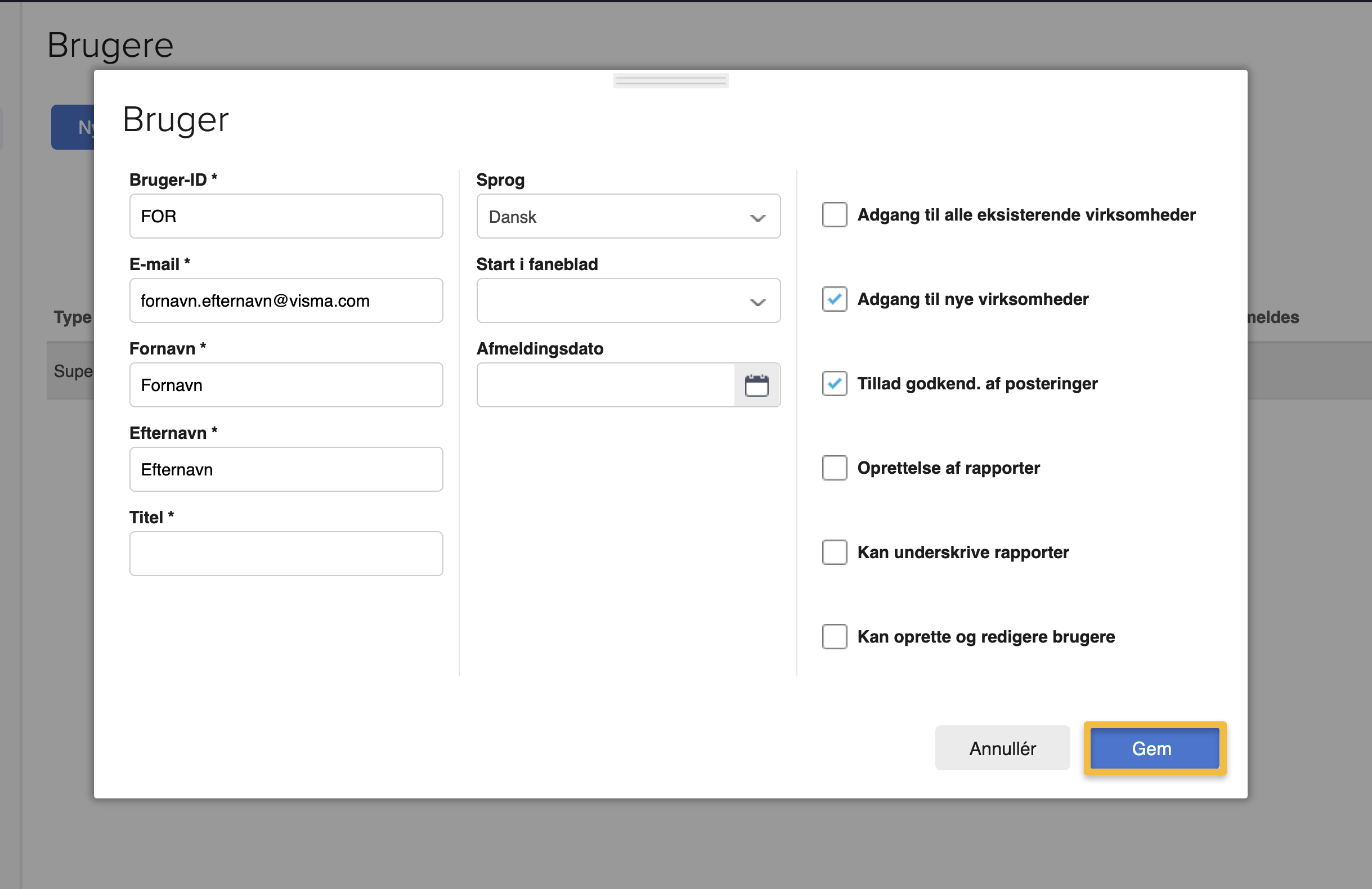Viser oprettelsesvinduet for en ny bruger i brugeradministrationen – bruges til at oprette en ny bruger og tildele adgangsrettigheder i en koncernaftale.