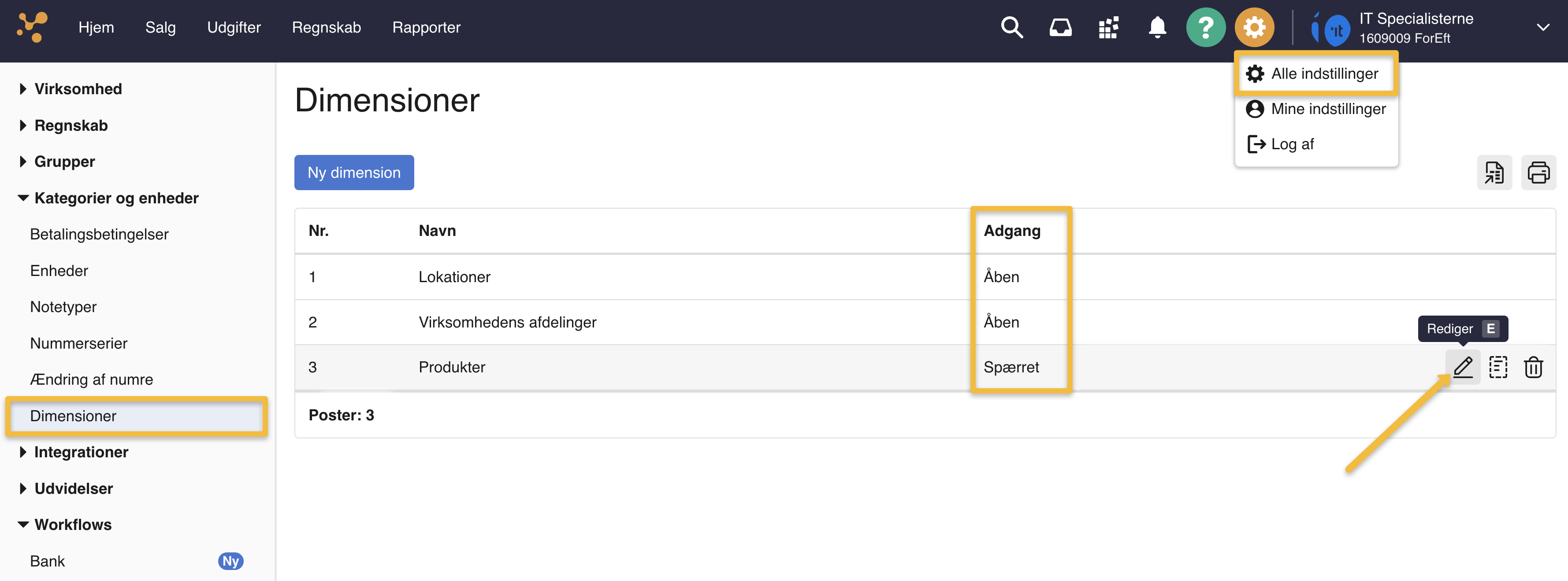 Viser redigeringsikonet for en dimension i oversigten over Dimensioner – bruges til at åbne eller spærre dimensionen.
