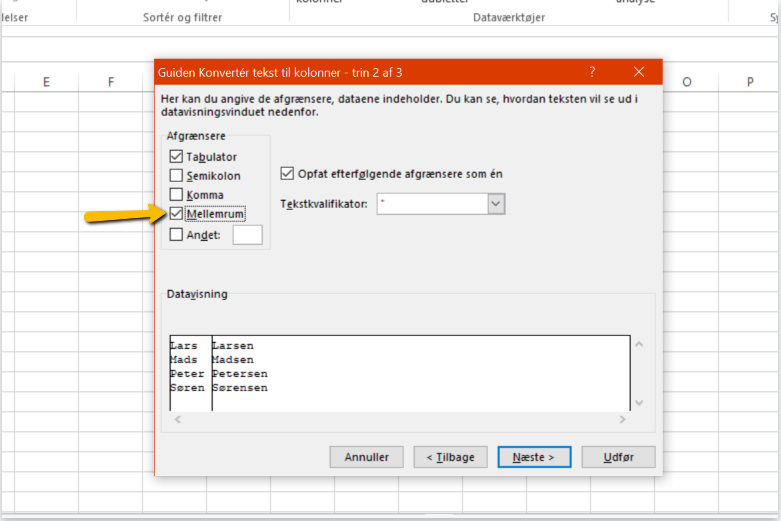 Viser valg af afgrænseren 'Mellemrum' i guiden 'Konvertér tekst til kolonner' – bruges til at opdele tekst i separate kolonner ved hvert mellemrum.